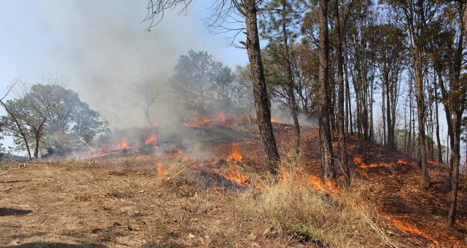 Edoméx primer lugar en incendios forestales a nivel nacional. Foto: Especial