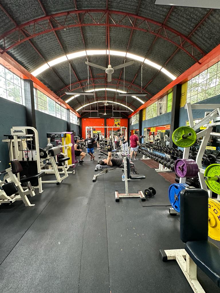 Planet Gym - Rutinas o diarios de entrenamiento, la importancia