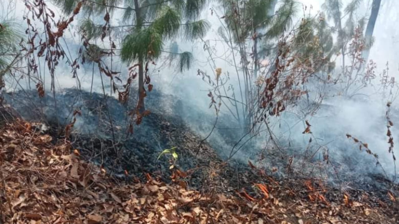 Vecinos reportan incendio en Lerma. Foto: RRSS