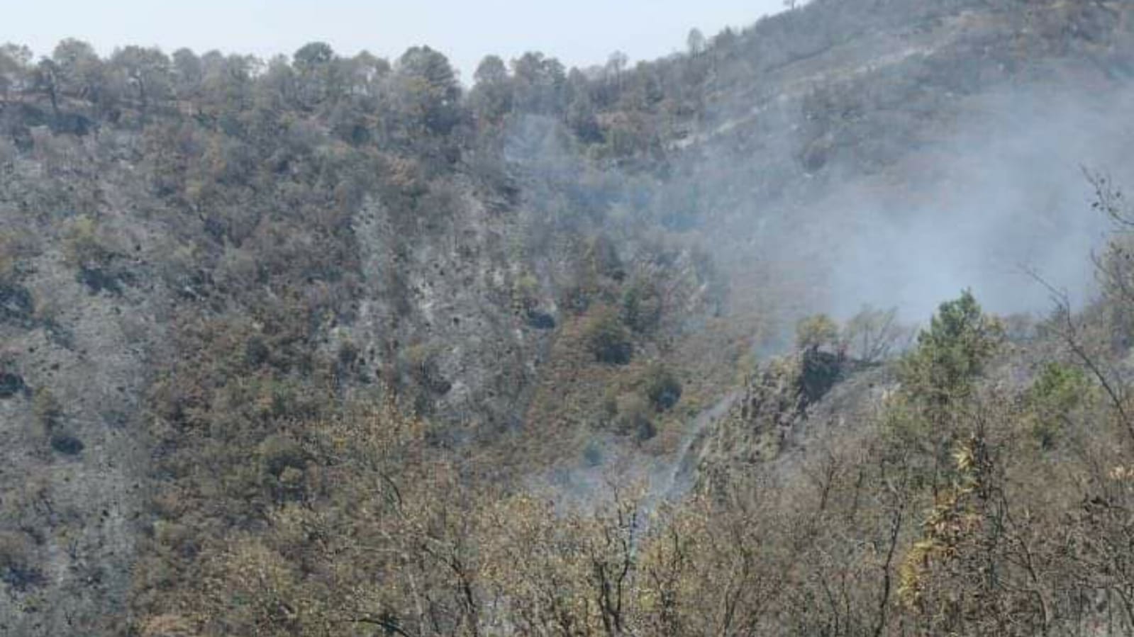 Sigue incendio en el cerro La Verónica en Lerma, ya son seis días. Foto: PC de Lerma 