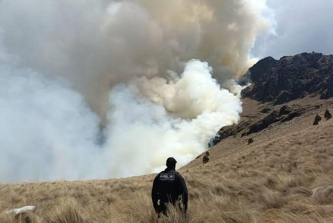 Incendio forestal en el parque Izta Popo. Foto: Gob. Edoméx 