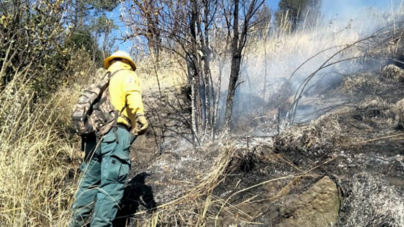 Controlan incendios en el Izta-Popo y Donato Guerra en Edoméx. Foto: Gob. de Edoméx