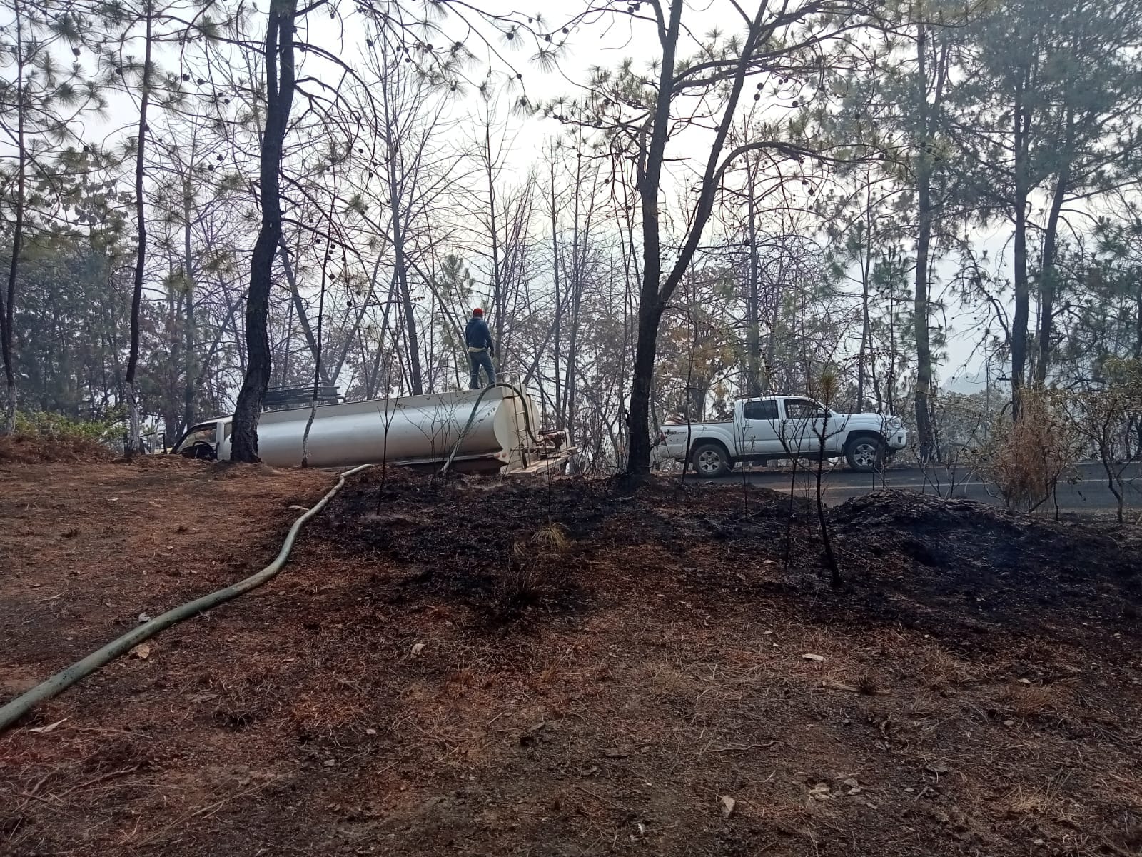 Controlan incendio forestal en Tejupilco. Foto: Probosque
