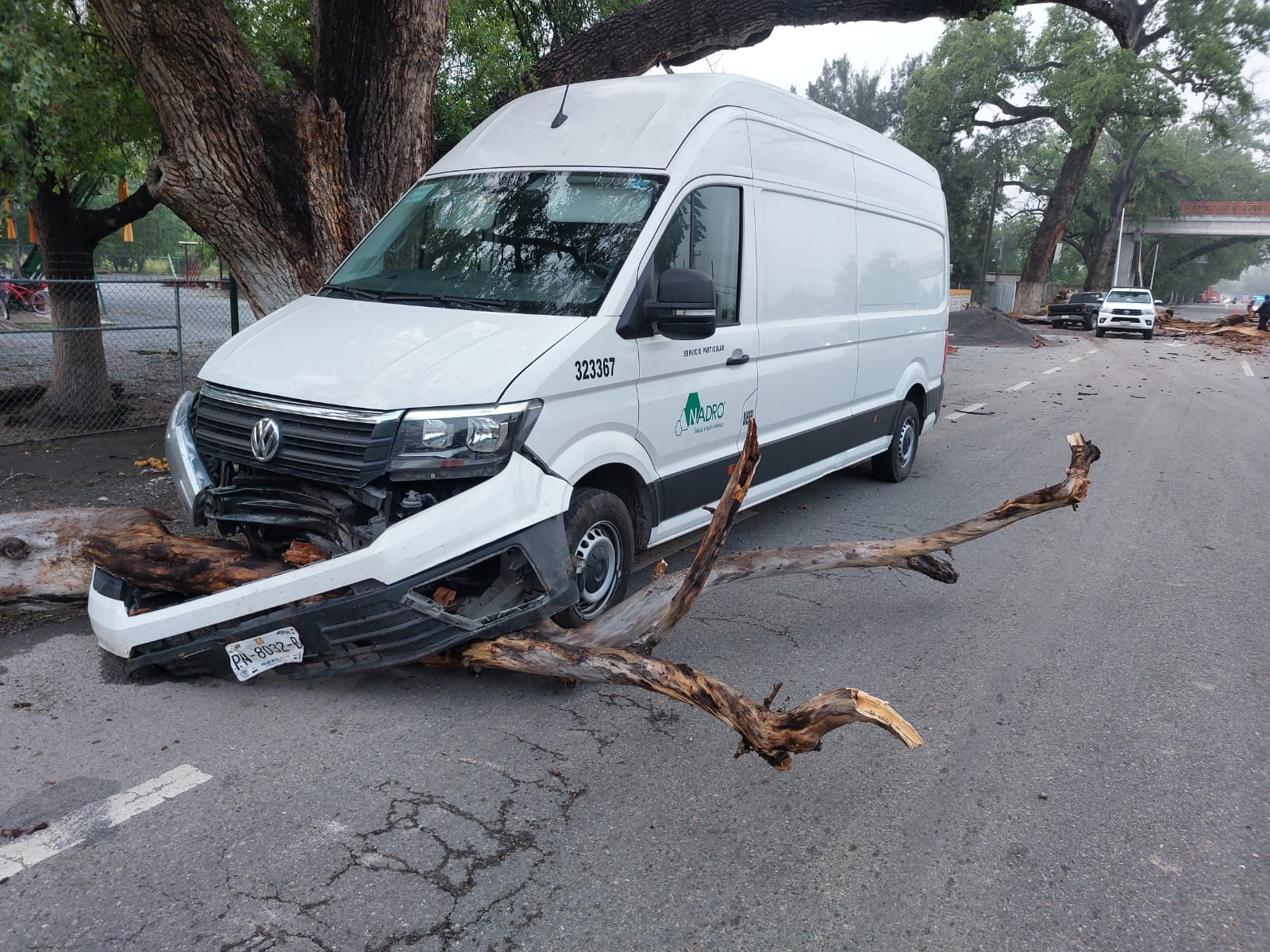 Camioneta que impactó la rama del árbol en la carretera Victoria - Monterrey. Foto: SSPT