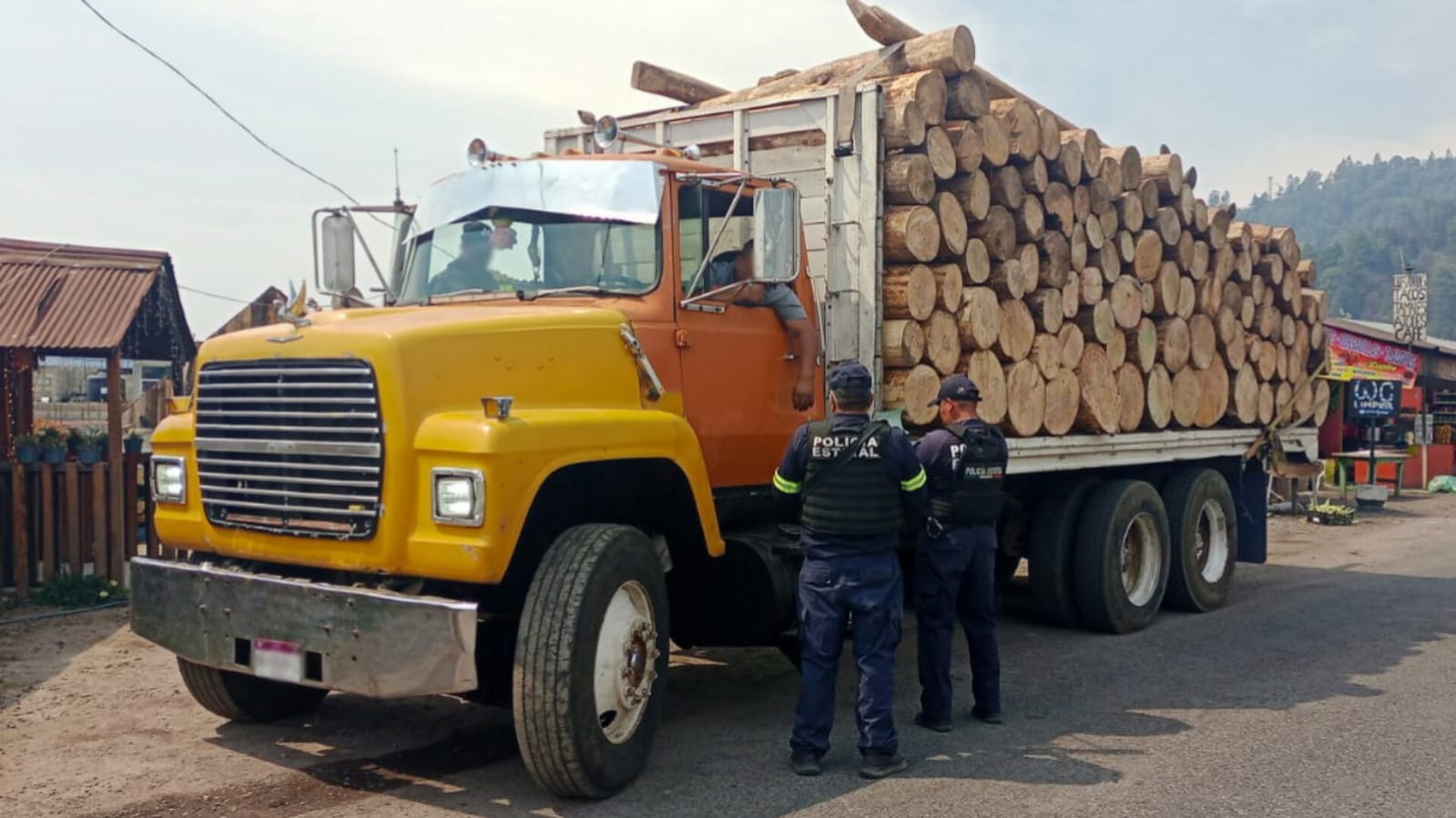 Caen 5 talamontes con 110 rollos de madera ilegal en Ocuilan. Foto: SSEM
