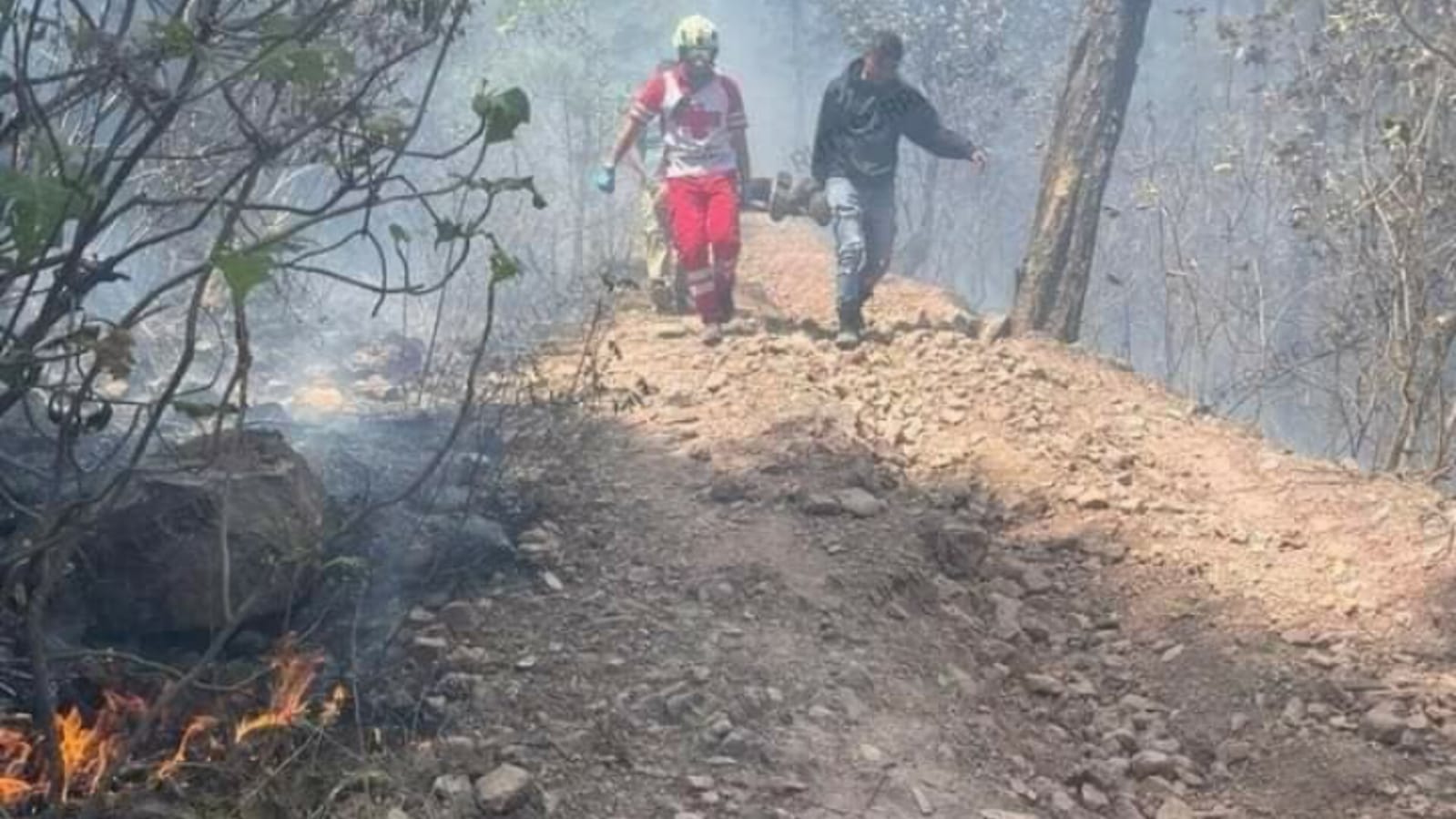 Suman cuatro los muertos por incendio forestal en Donato Guerra. Foto: Vecinos de Donato Guerra 