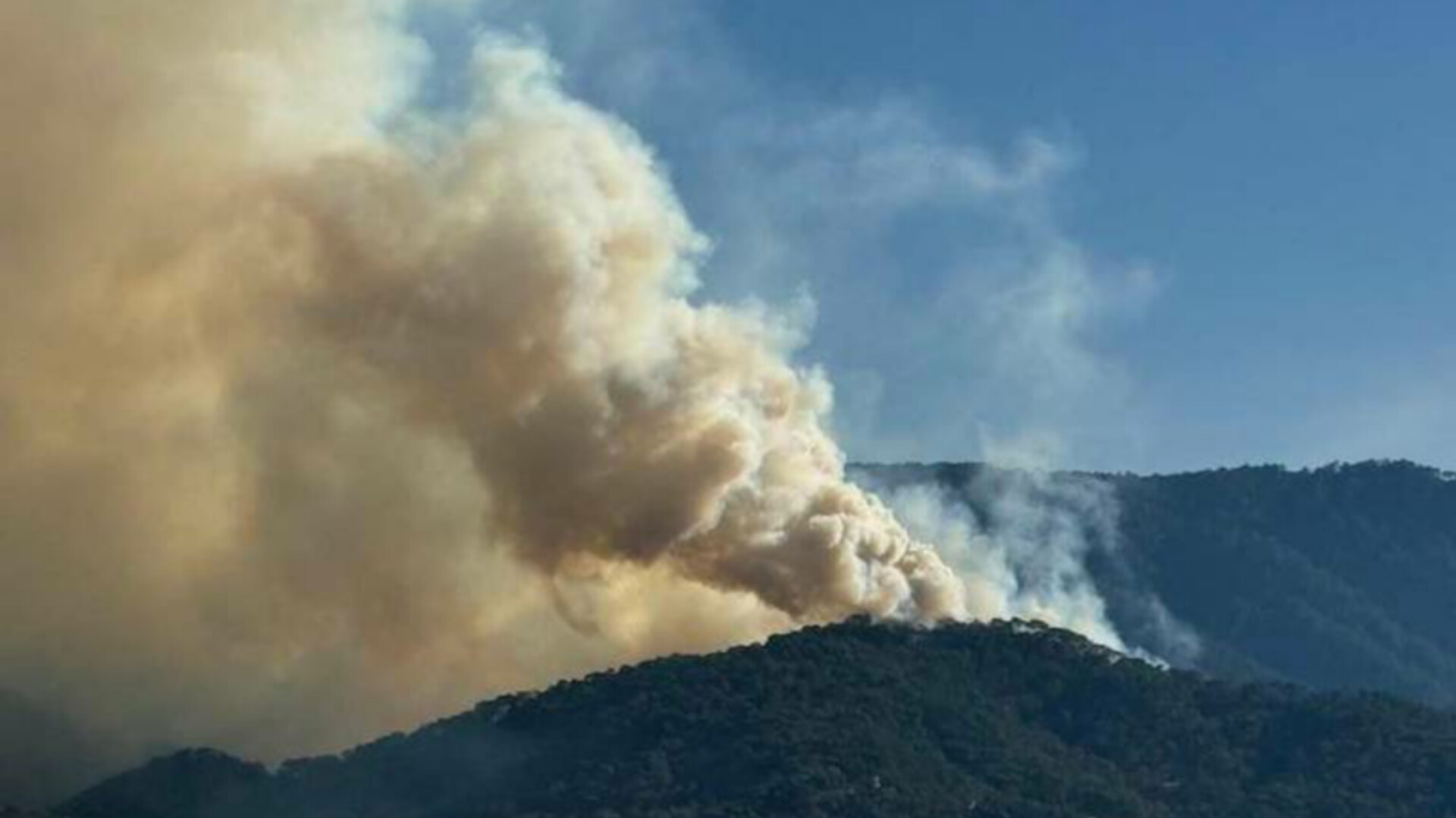 Aumentan los incendios forestales en Edoméx y los daños. Foto: Brigadistas voluntarios