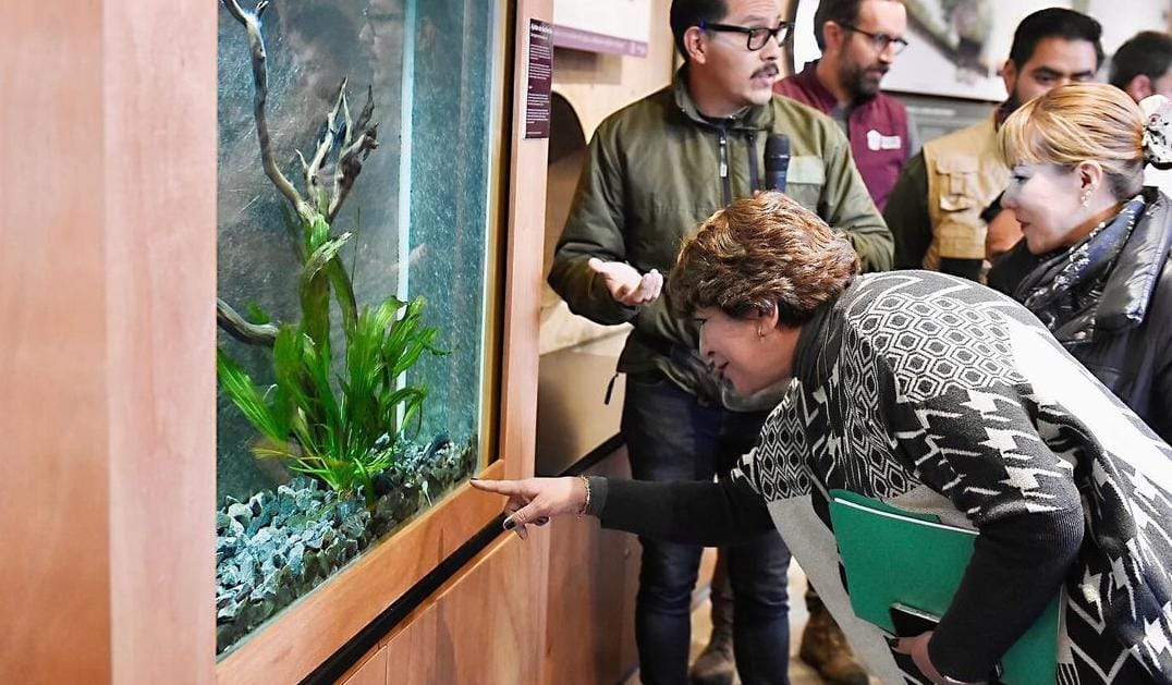 Delfina Gómez impulsa recuperación de humedales para atender la escasez de agua. Foto: @DelfinaGómez