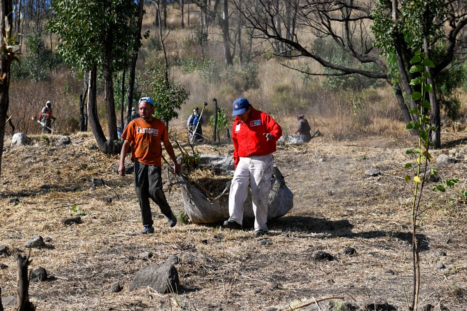 Limpian el cerro de Moctezuma en Naucalpan, buscan prevenir incendios. Foto: Gob. de Naucalpan 