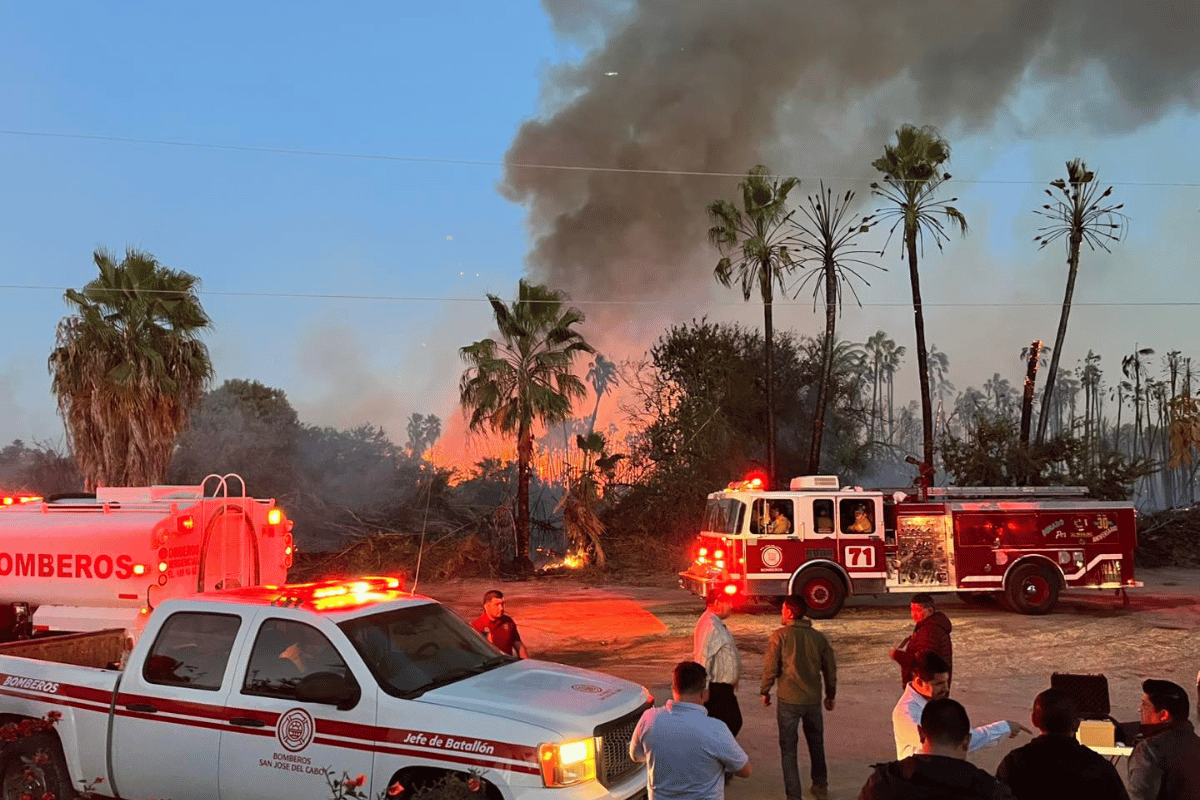 Foto: Departamento de Bomberos de San Jose del Cabo