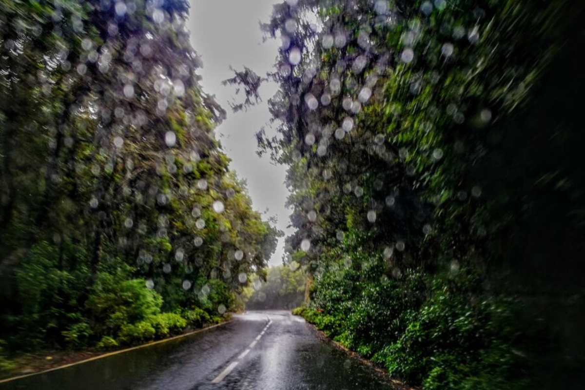 Pronóstico de lluvia para la mayor parte del estado de Tamaulipas. Foto: Freepik