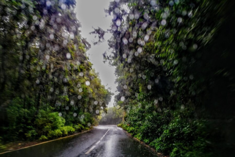 Frente frío 21 llega a Tamaulipas con estas frías temperaturas