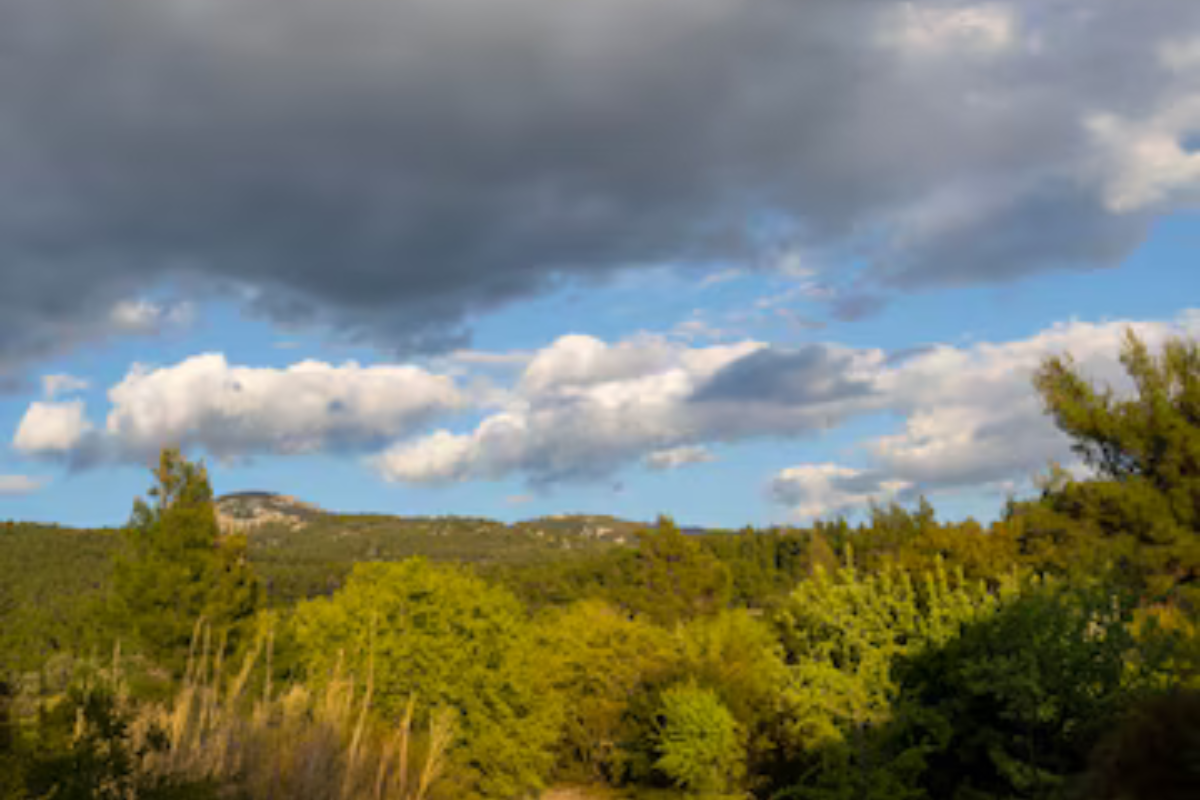 Hoy empezará a descender la temperatura en Tamaulipas. Foto: Freepik