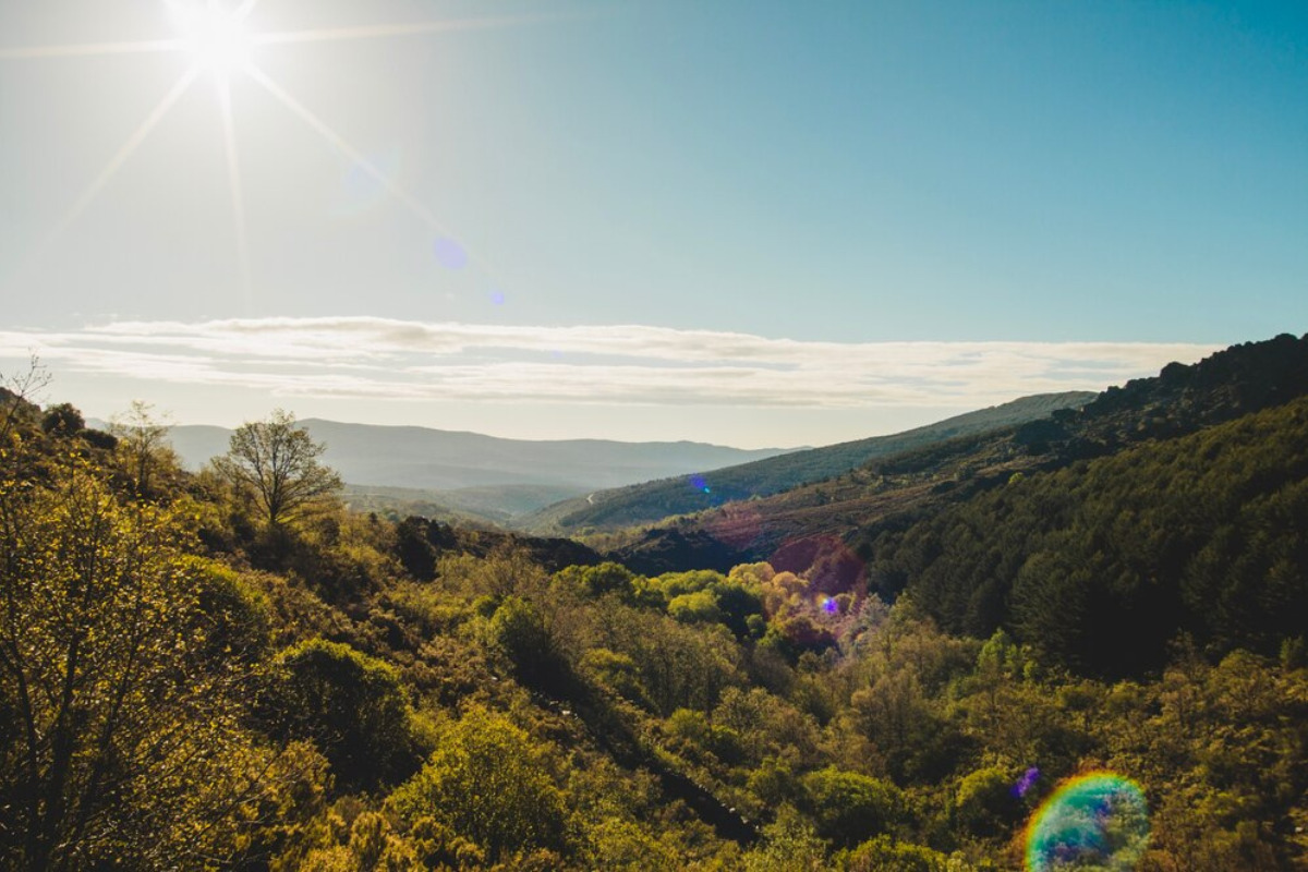 La temperatura registra cálido durante el día y frío por la noche. Foto: Freepik