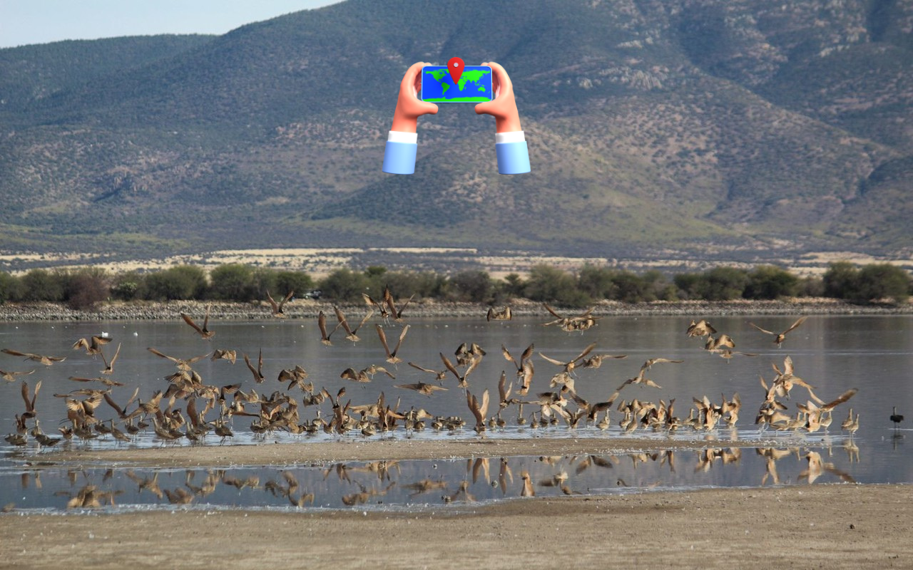 Este lugar encontrarás aves migratorias. Foto: Alejandro Ávila.