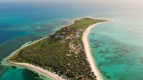 ¿Qué flora y fauna hay en los arrecifes de coral de Yucatán?