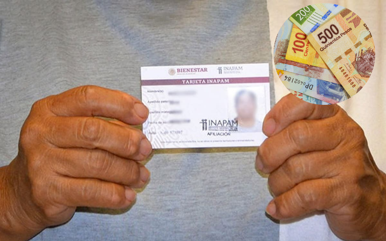 De fondo persona con tarjeta INAPAM, billetes mexicanos. Foto: Gobierno de México/ Canva