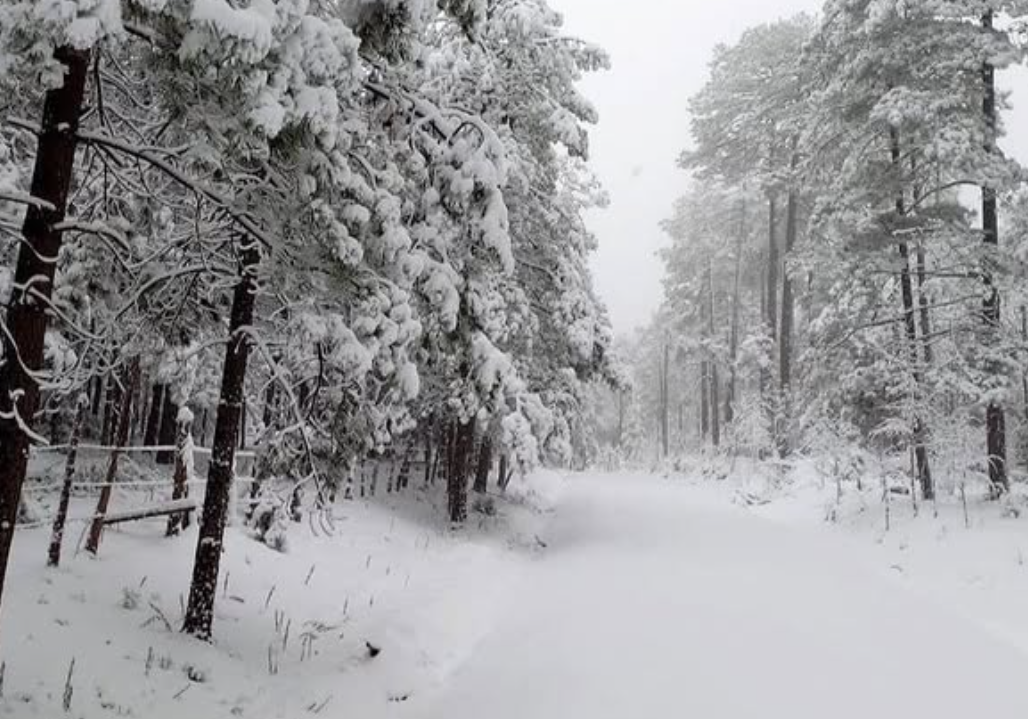 Frío polar en Durango: el congelador de México amanece a 20 grados ¡bajo cero!