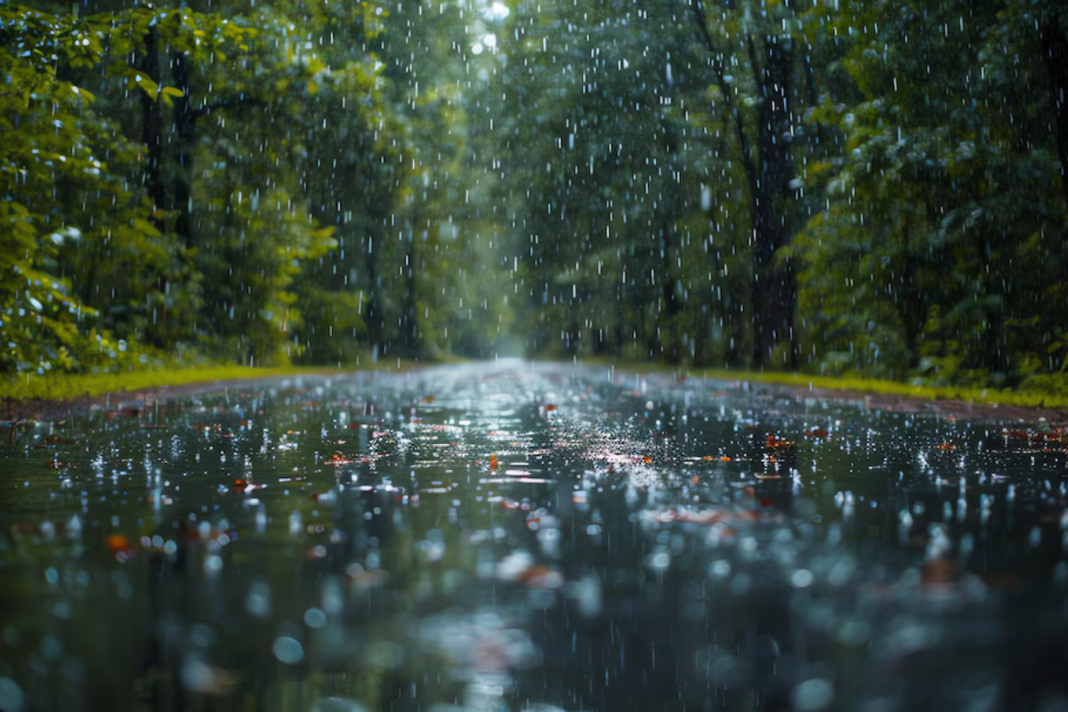 Se pronostica lluvia para la mayor parte del estado de Tamaulipas. Foto: Freepik