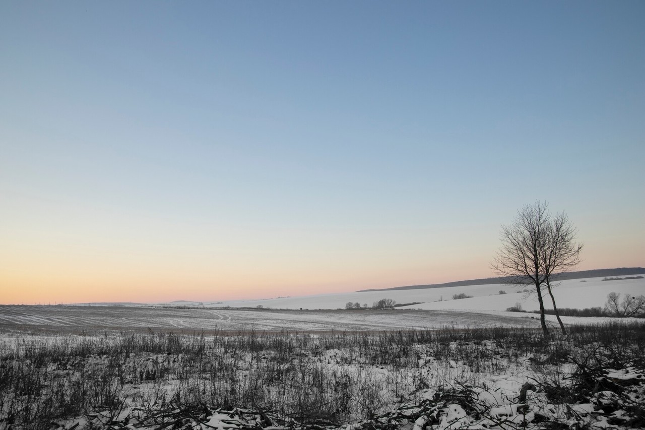 Durante este día, el frente frío No. 24, acompañado de una masa de aire ártico, mantendrá condiciones extremas en gran parte del país, principalmente en el norte y noreste. Foto: Freepik