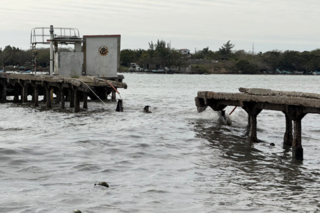 Importante muelle es derribado por el fuerte oleaje del Río Pánuco