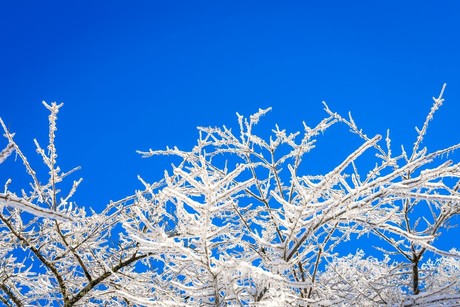 Clima en Tamaulipas: Frente frío 23 y masa de aire polar provocan bajón de temperaturas