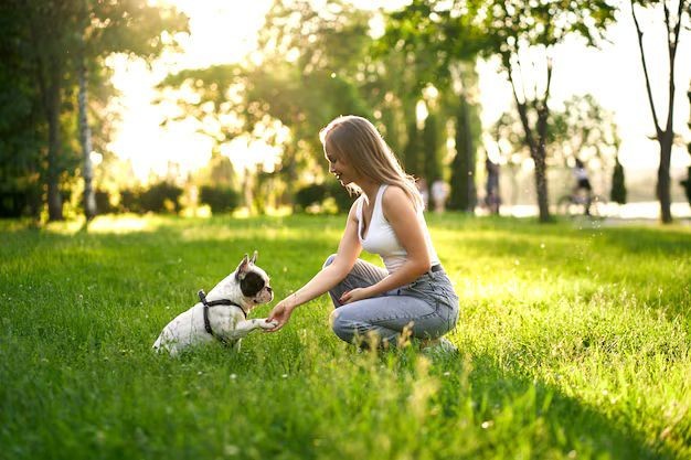 Si no recoges la popó de tu mascota en el área verde o vía pública, te puedes hacer acreedor de una multa, por lo tanto debes procurar ser responsable. Foto: Freepik