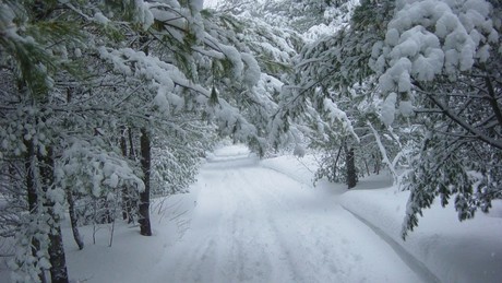 Frente frío 21 en Coahuila: ¿En qué regiones habrá nieve este fin de semana?