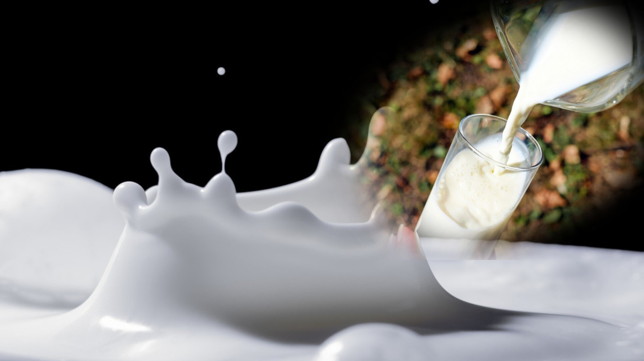 Esta es la región se caracteriza por su alta producción de leche en México, siendo de las tres mejores regiones productoras del país. Foto: Pixabay.