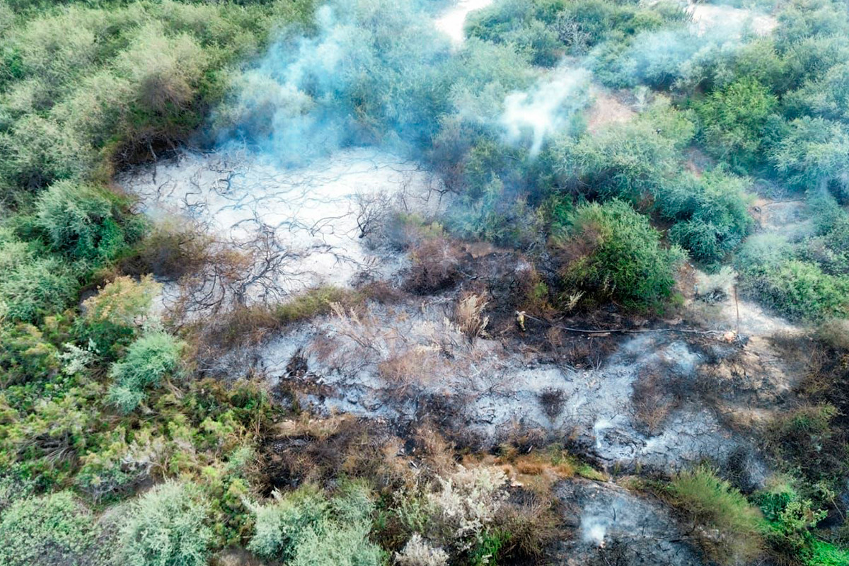 Incendios en pastizales de Los Cabos. Fotografías: Cuerpo de Bomberos de Cabo San Lucas.