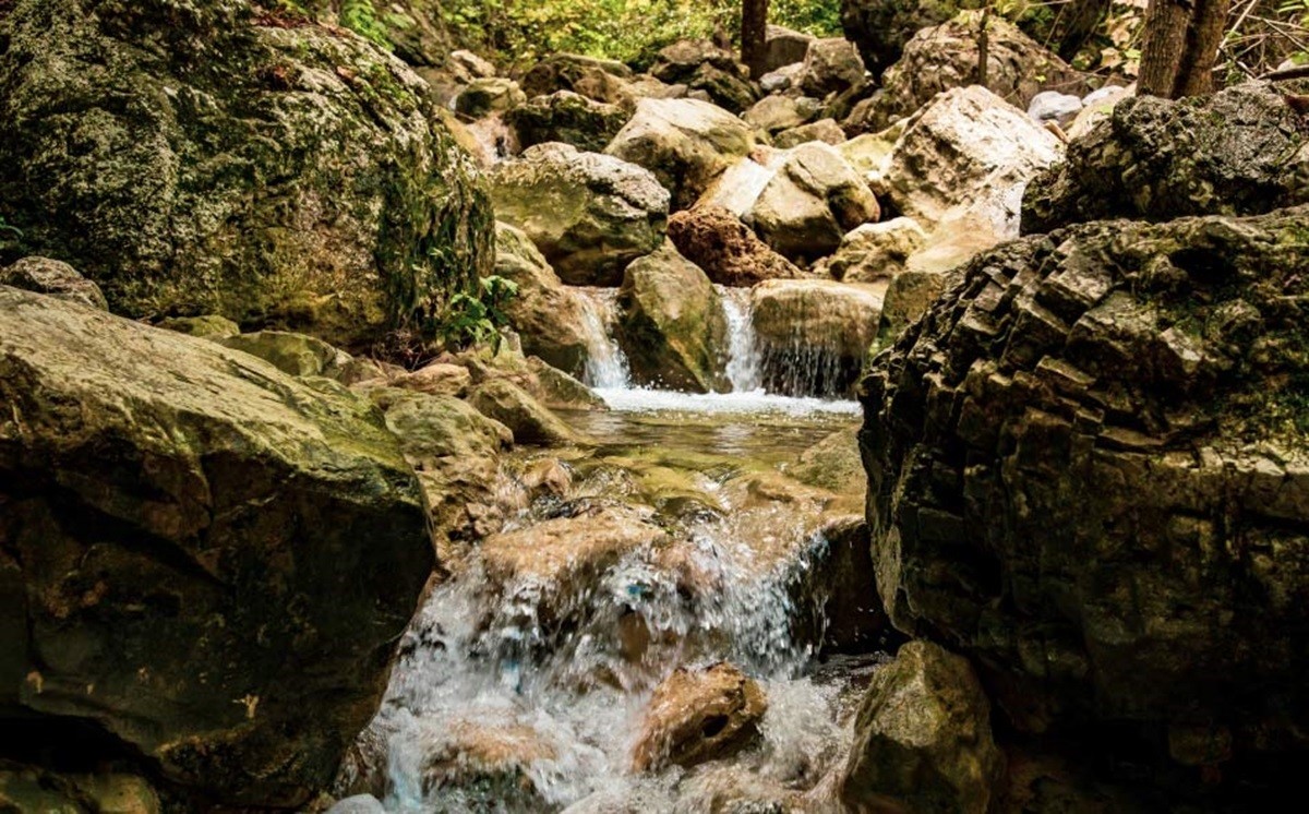 Disfruta de las Cascadas de Guadalupe, un paraíso natural accesible. Foto: Gobierno de Guadalupe.