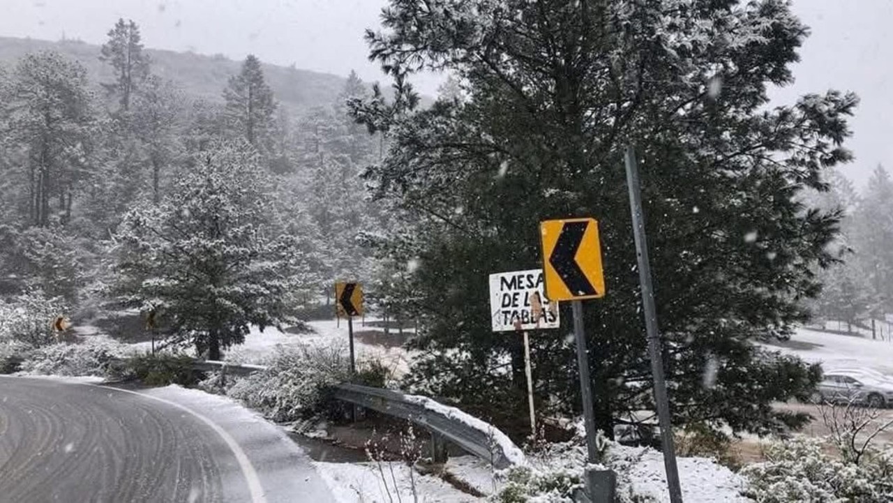 Advierten de bajas temperaturas y posibles nevadas. (Fotografía: Canva)