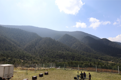 Sierra de Arteaga, persiste riesgo de incendios por esta razón