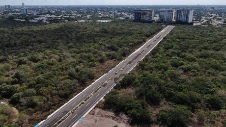 Alcaldesa de Mérida Cecilia Patrón inaugura nueva vía alterna en Sodzil Norte