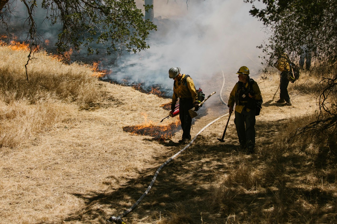 Los incendios de California han afectado una gran cantidad de personas Foto: Pexels