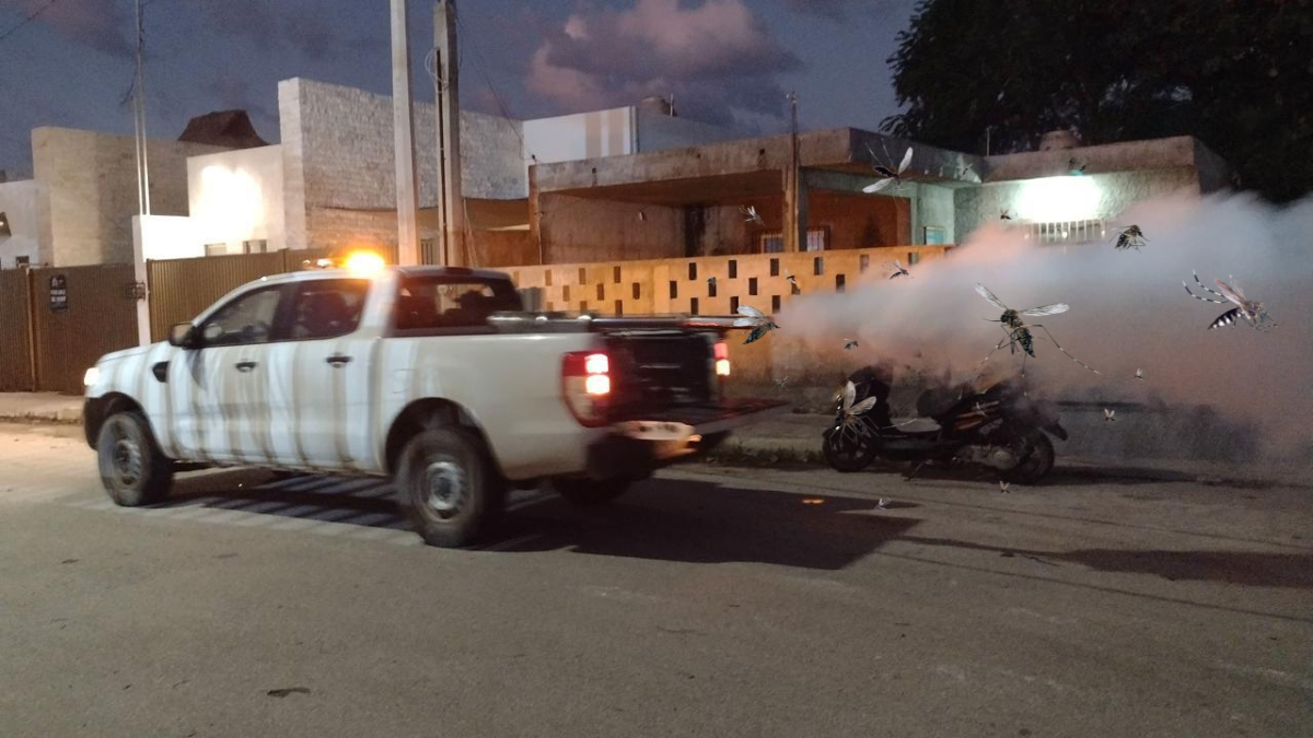 Las acciones de fumigación se realizan de manera  permanente Foto: SSY