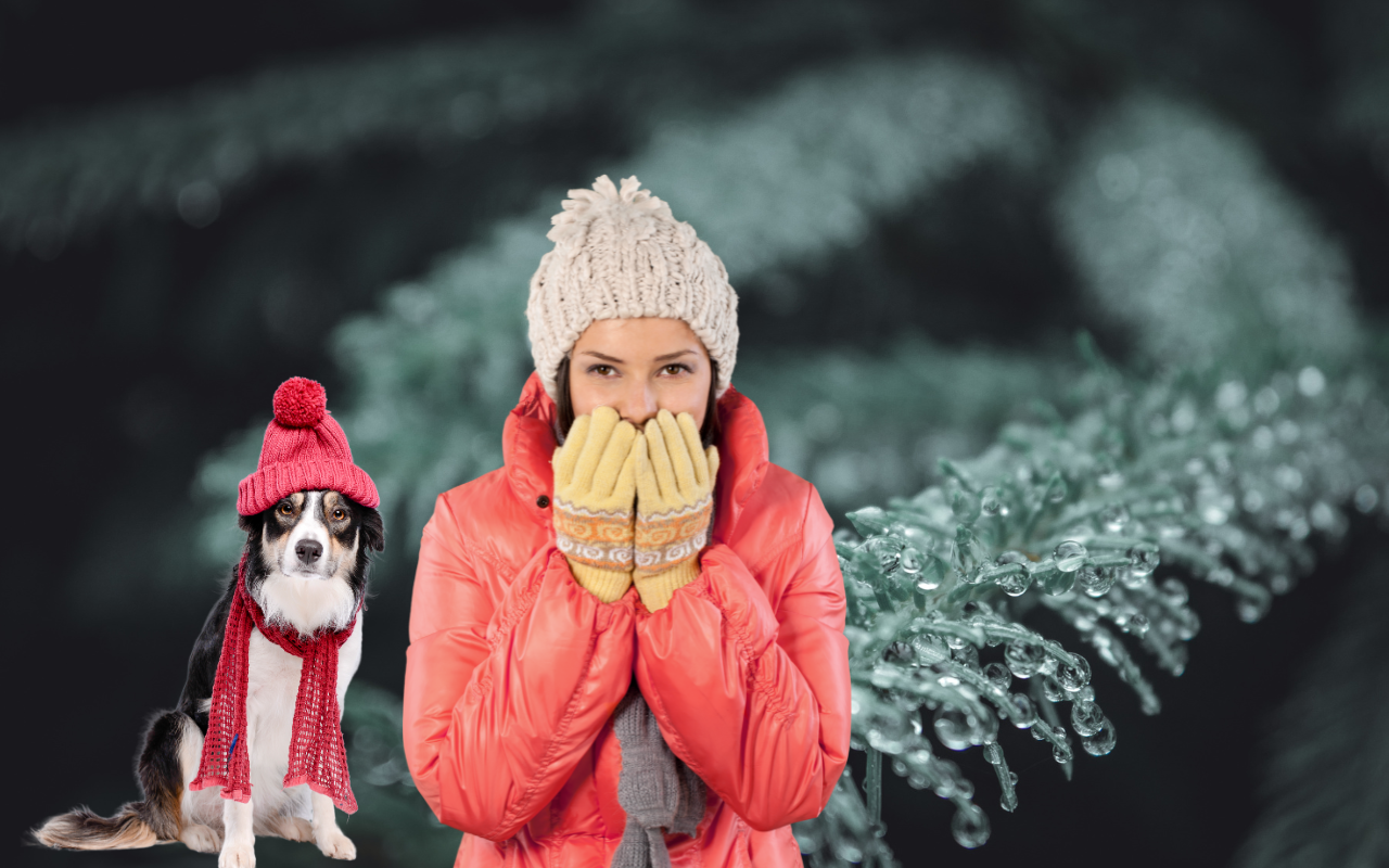 Frente Frio 21; llega con temperaturas congelantes