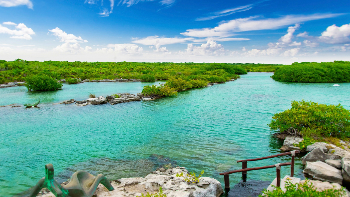 Estos cenotes son la opción ideal para disfrutar de una experiencia nueva Foto: Caleta Yal-Kú