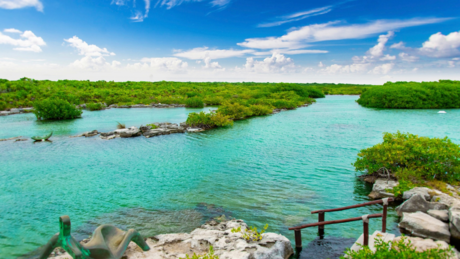 Los 3 cenotes que se conectan con el mar para conocer este 2025