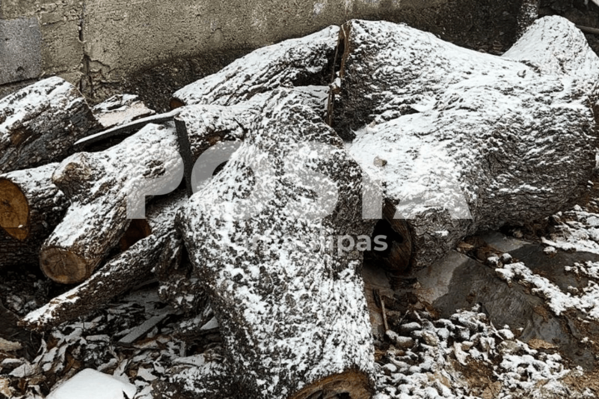 La sierra de Victoria, en el ejido Alta Cumbre, fue cubierta por una capa de blanca nieve que comenzó a caer este martes a partir de las 9 de la mañana. Foto: Ignacio Aceves