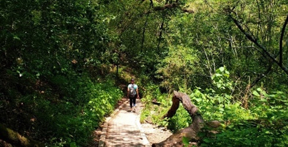 Visita el Parque La Estanzuela desde Monterrey en transporte público. Foto: nuevoleon.travel/parque-ecologico-la-estanzuela