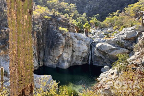 ¿Ya planeaste el puente del 3 de febrero? Escapa con tu familia a este lugar en Los Cabos