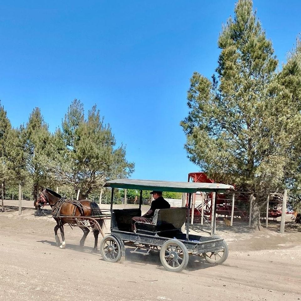 Los menonitas llegaron en la década de 1920 a Durango. Foto:  Facebook Nuevo Ideal Durango.