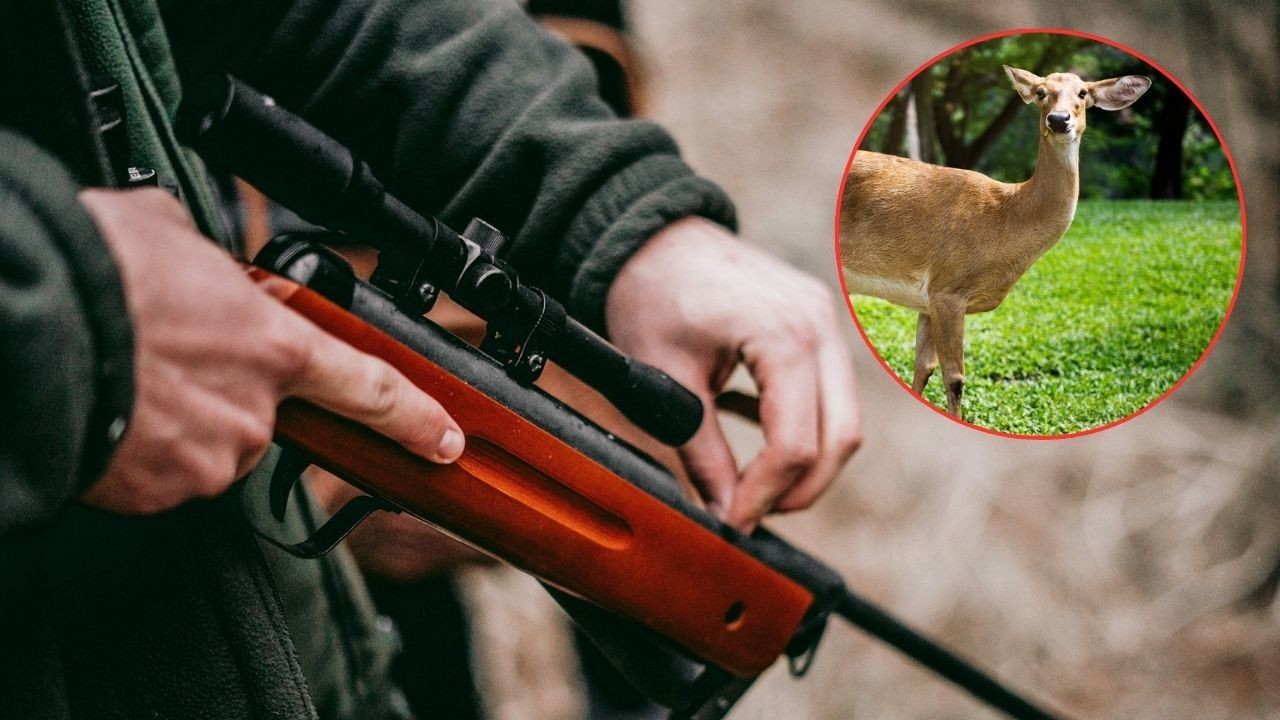 La pareja de cazadores se encontraban entre la espesura del monte Foto: Ilustrativa