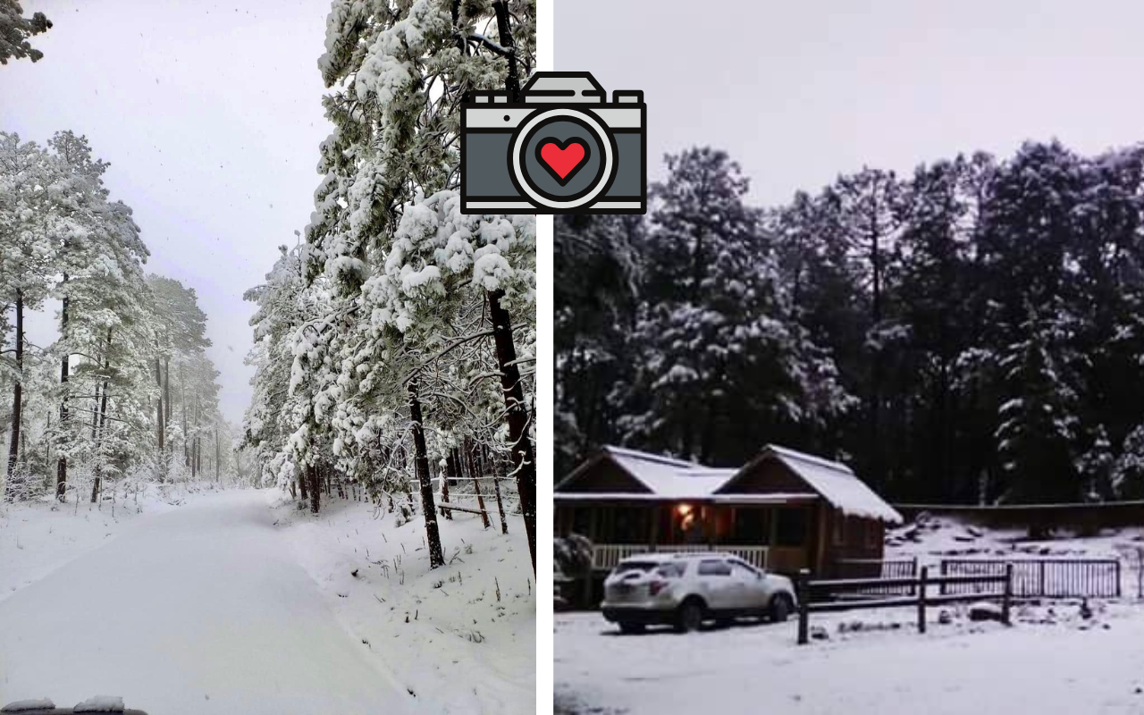 Hay lugares en dónde cae nieve durante el invierno. Foto: Facebook Turismo Durango.