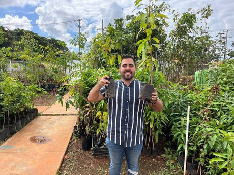 Así puedes adoptar un árbol en Mérida a través de un programa municipal