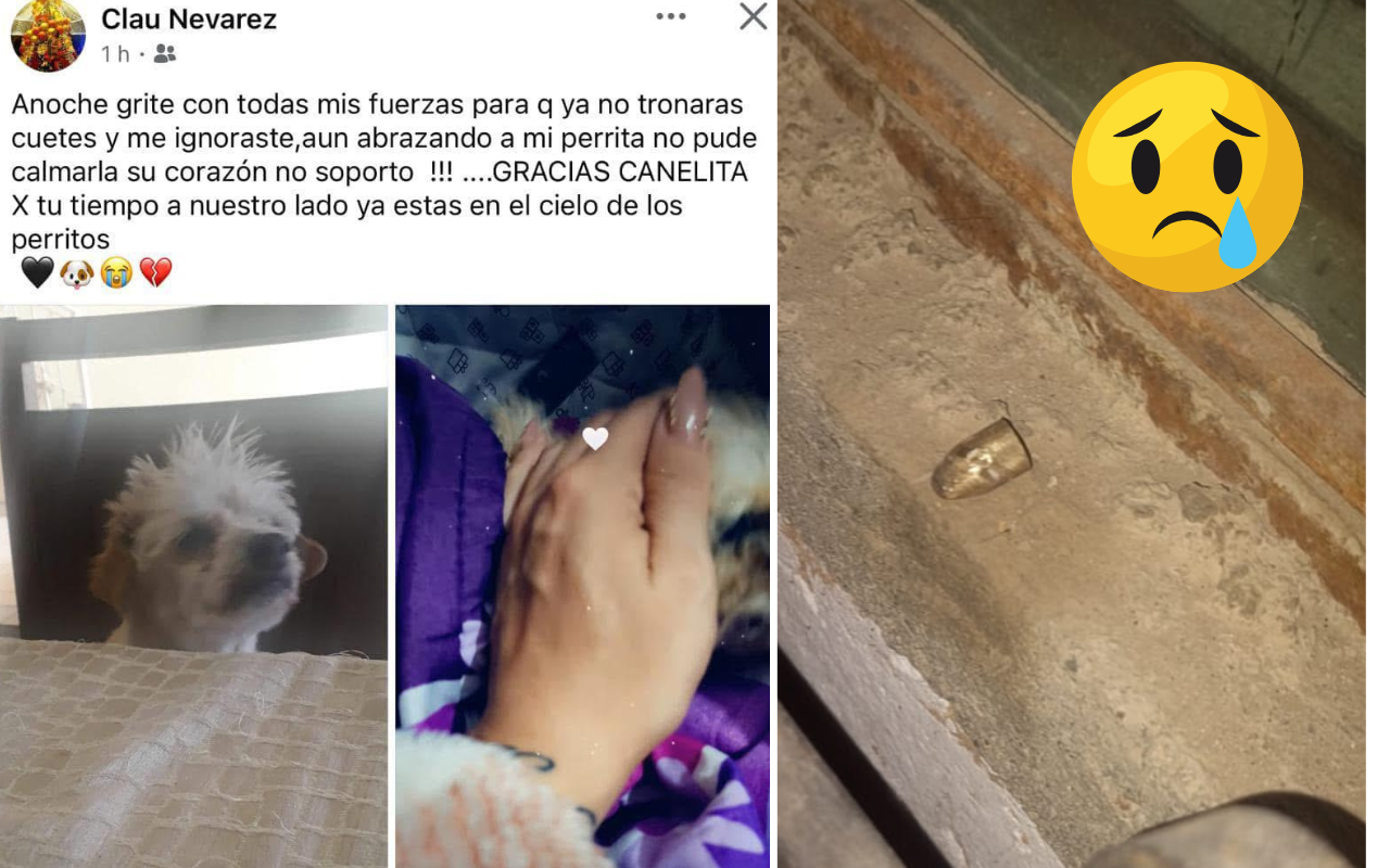 Una perrita murió debido a las detonaciones por la celebración del año nuevo. Foto: Facebook Clau Nevárez.