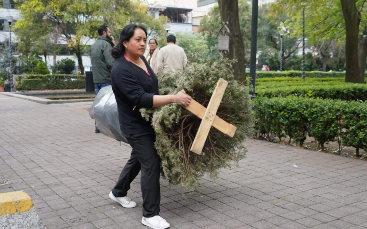 Persona con arbolito en centro de acopio. Foto: Alcaldía Miguel Hidalgo