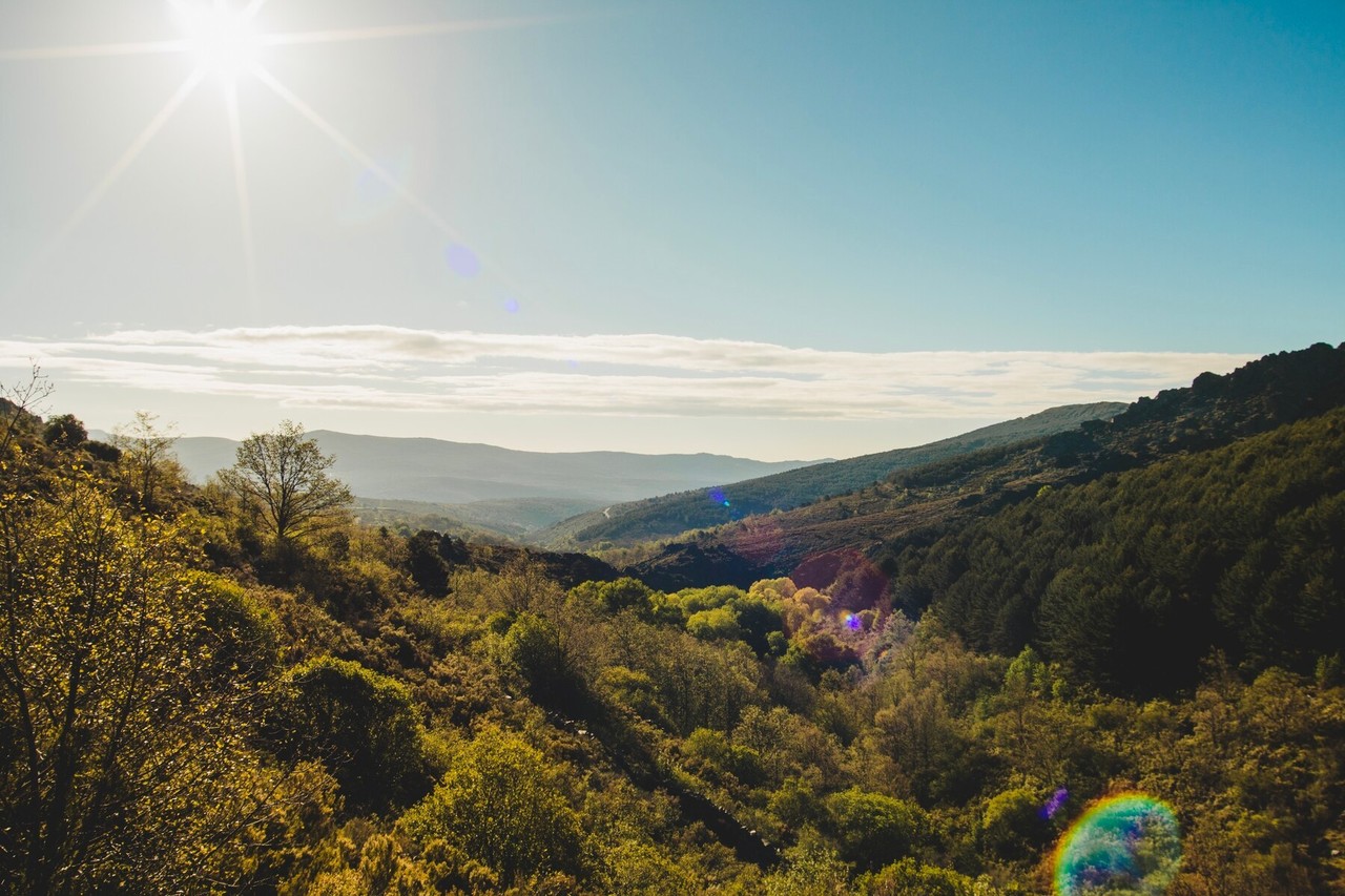 Este día se caracterizará por un inicio fresco con niebla en algunas áreas, seguido de un ambiente más cálido en la tarde. Foto: Freepik