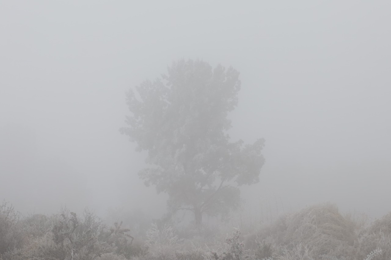 Frío en Coahuila. Foto de Edgar Romero.